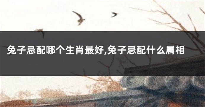 兔子忌配哪个生肖最好,兔子忌配什么属相