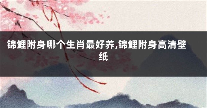 锦鲤附身哪个生肖最好养,锦鲤附身高清壁纸