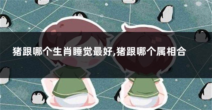猪跟哪个生肖睡觉最好,猪跟哪个属相合