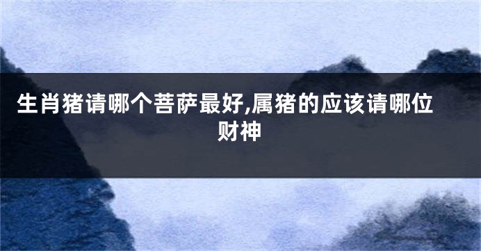 生肖猪请哪个菩萨最好,属猪的应该请哪位财神