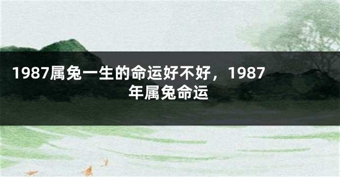 1987属兔一生的命运好不好，1987年属兔命运