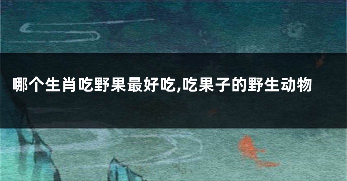 哪个生肖吃野果最好吃,吃果子的野生动物