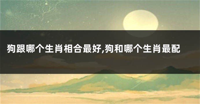 狗跟哪个生肖相合最好,狗和哪个生肖最配