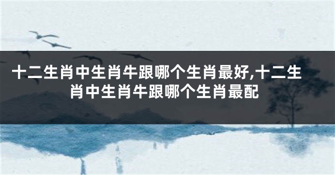 十二生肖中生肖牛跟哪个生肖最好,十二生肖中生肖牛跟哪个生肖最配