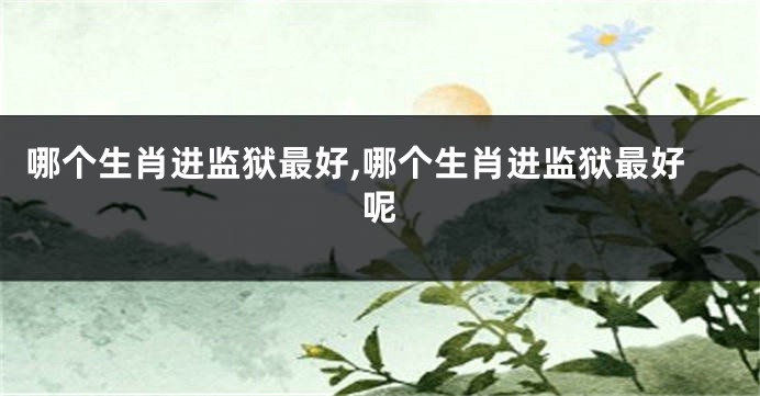 哪个生肖进监狱最好,哪个生肖进监狱最好呢