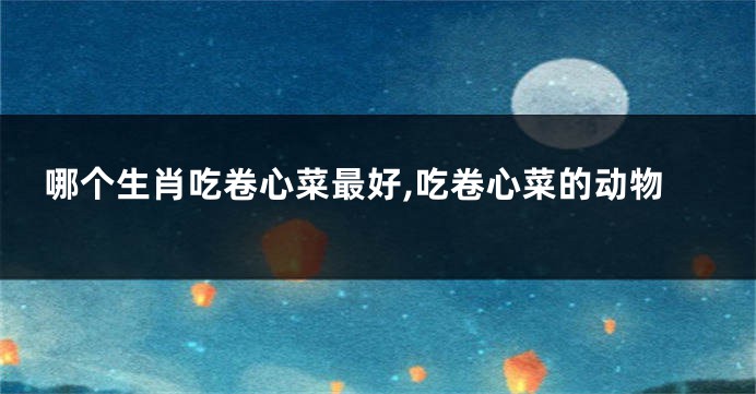 哪个生肖吃卷心菜最好,吃卷心菜的动物