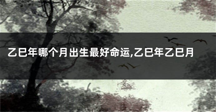 乙巳年哪个月出生最好命运,乙巳年乙巳月