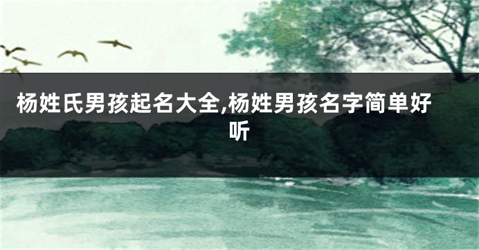杨姓氏男孩起名大全,杨姓男孩名字简单好听