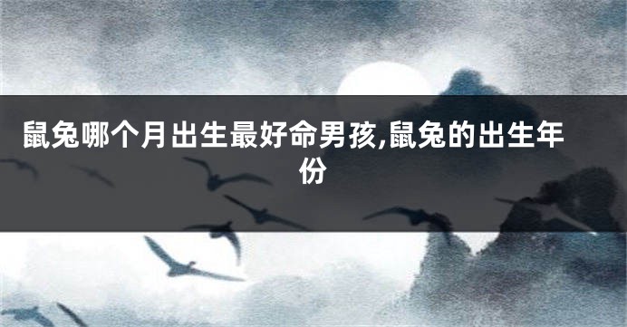 鼠兔哪个月出生最好命男孩,鼠兔的出生年份