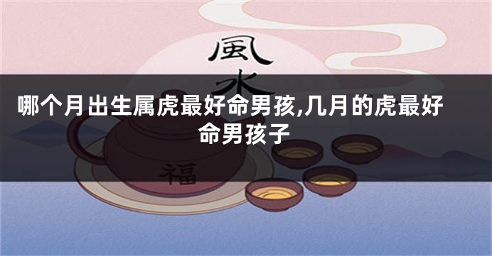 哪个月出生属虎最好命男孩,几月的虎最好命男孩子