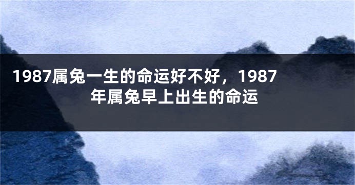 1987属兔一生的命运好不好，1987年属兔早上出生的命运