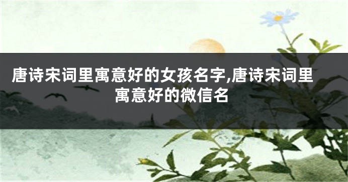 唐诗宋词里寓意好的女孩名字,唐诗宋词里寓意好的微信名