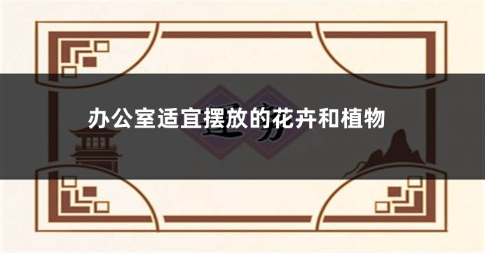 办公室适宜摆放的花卉和植物