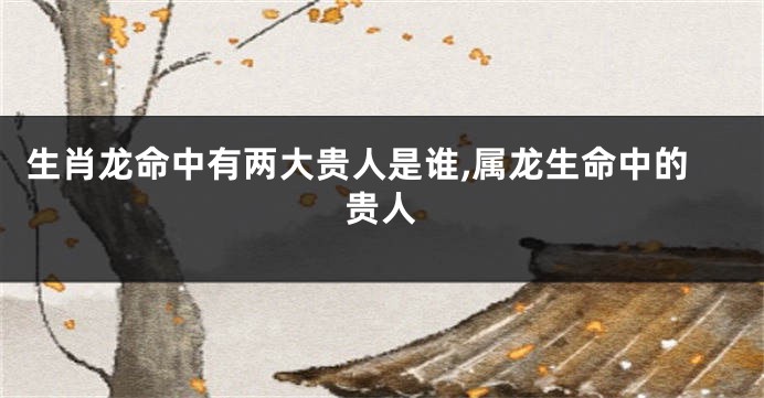 生肖龙命中有两大贵人是谁,属龙生命中的贵人