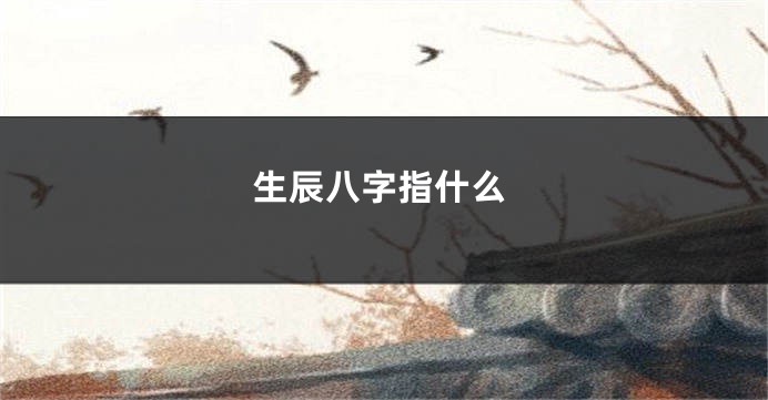 生辰八字指什么