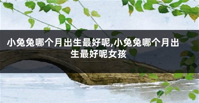 小兔兔哪个月出生最好呢,小兔兔哪个月出生最好呢女孩