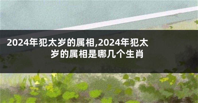 2024年犯太岁的属相,2024年犯太岁的属相是哪几个生肖