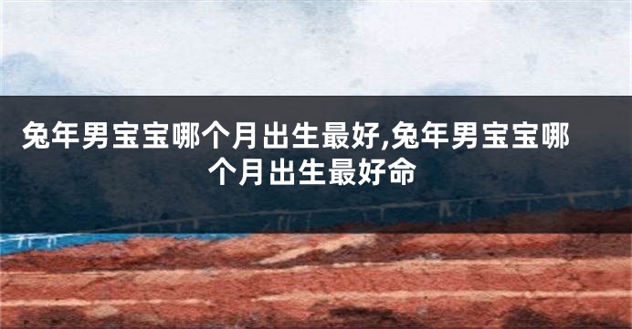 兔年男宝宝哪个月出生最好,兔年男宝宝哪个月出生最好命