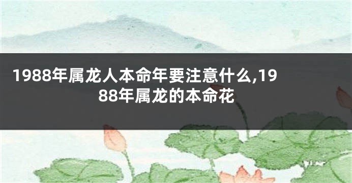 1988年属龙人本命年要注意什么,1988年属龙的本命花
