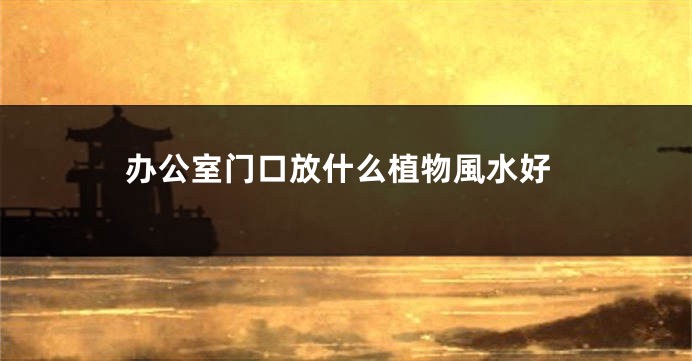 办公室门口放什么植物風水好