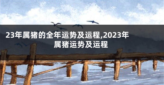 23年属猪的全年运势及运程,2023年属猪运势及运程