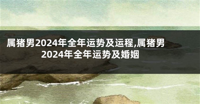 属猪男2024年全年运势及运程,属猪男2024年全年运势及婚姻