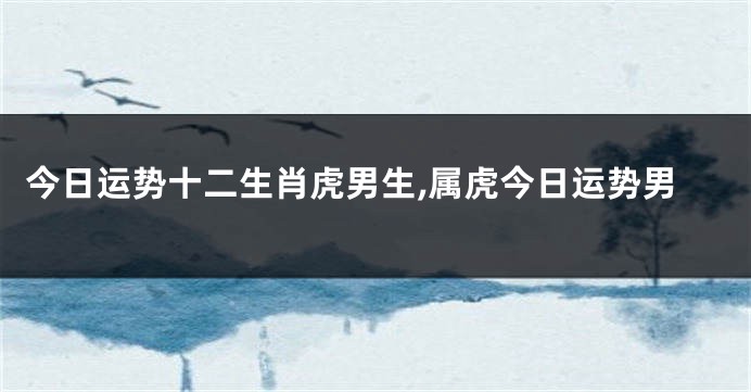 今日运势十二生肖虎男生,属虎今日运势男