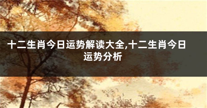十二生肖今日运势解读大全,十二生肖今日运势分析