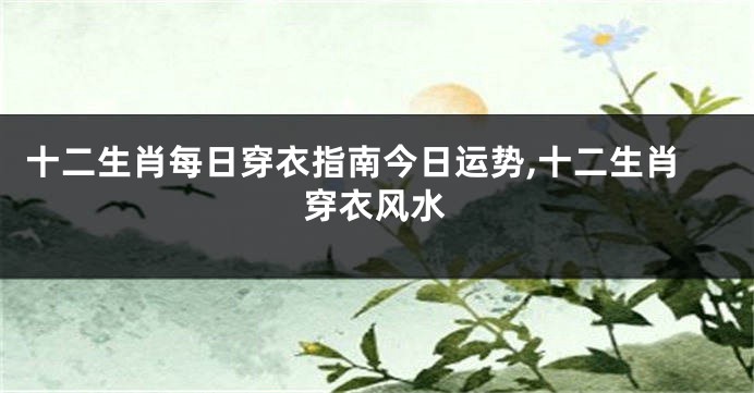 十二生肖每日穿衣指南今日运势,十二生肖穿衣风水