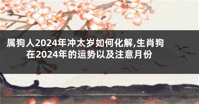 属狗人2024年冲太岁如何化解,生肖狗在2024年的运势以及注意月份