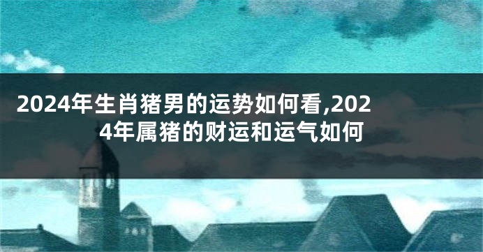 2024年生肖猪男的运势如何看,2024年属猪的财运和运气如何