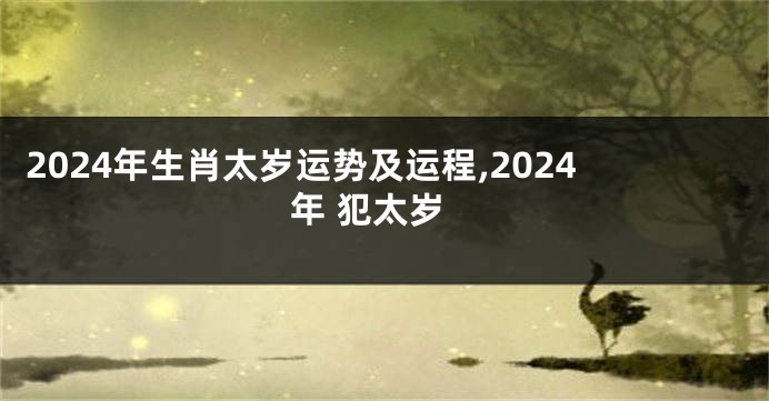 2024年生肖太岁运势及运程,2024年 犯太岁