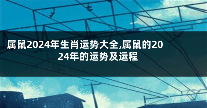属鼠2024年生肖运势大全,属鼠的2024年的运势及运程