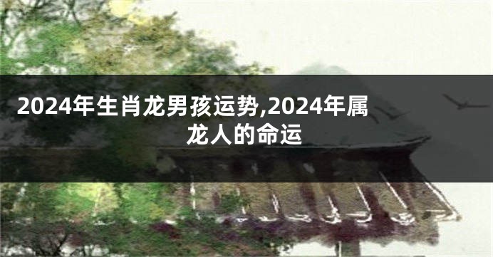 2024年生肖龙男孩运势,2024年属龙人的命运