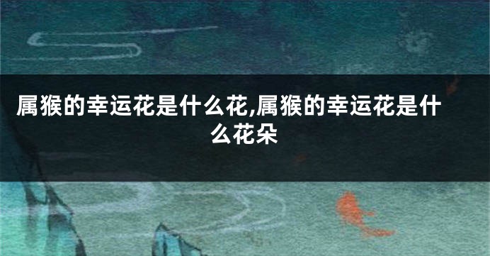 属猴的幸运花是什么花,属猴的幸运花是什么花朵