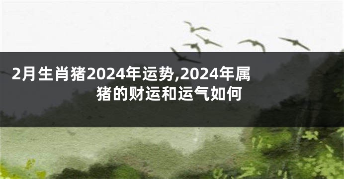 2月生肖猪2024年运势,2024年属猪的财运和运气如何