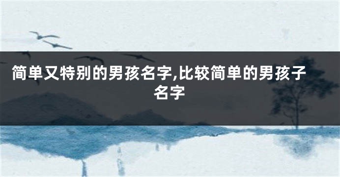 简单又特别的男孩名字,比较简单的男孩子名字