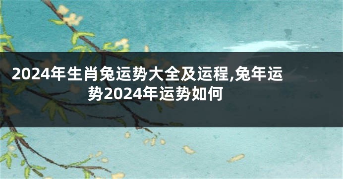 2024年生肖兔运势大全及运程,兔年运势2024年运势如何