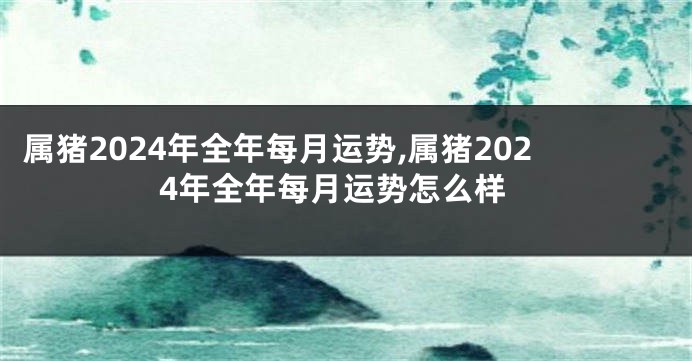 属猪2024年全年每月运势,属猪2024年全年每月运势怎么样