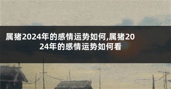 属猪2024年的感情运势如何,属猪2024年的感情运势如何看