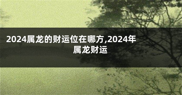 2024属龙的财运位在哪方,2024年属龙财运