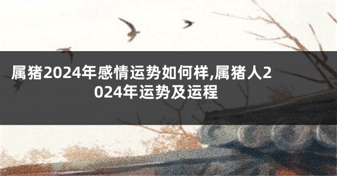 属猪2024年感情运势如何样,属猪人2024年运势及运程