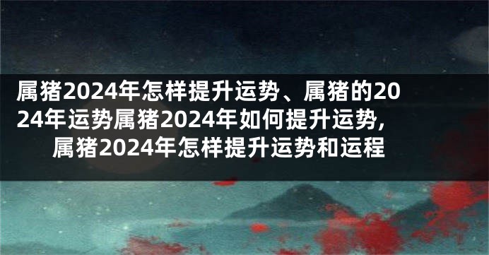 属猪2024年怎样提升运势、属猪的2024年运势属猪2024年如何提升运势,属猪2024年怎样提升运势和运程