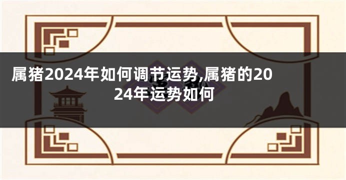 属猪2024年如何调节运势,属猪的2024年运势如何