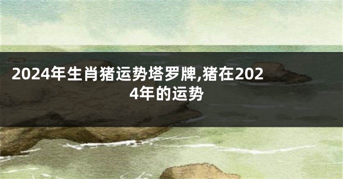 2024年生肖猪运势塔罗牌,猪在2024年的运势