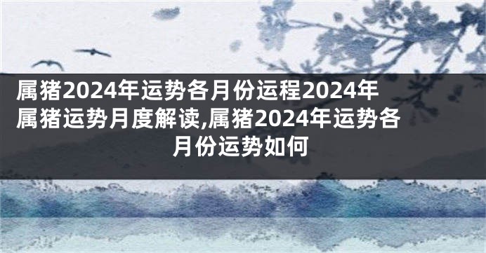 属猪2024年运势各月份运程2024年属猪运势月度解读,属猪2024年运势各月份运势如何