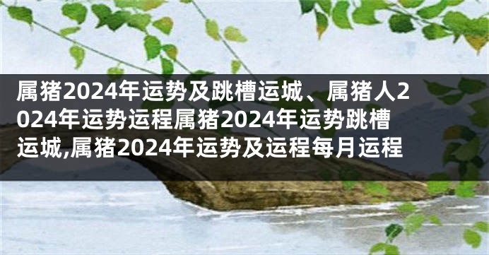 属猪2024年运势及跳槽运城、属猪人2024年运势运程属猪2024年运势跳槽运城,属猪2024年运势及运程每月运程