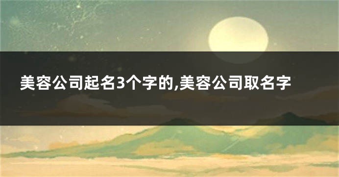 美容公司起名3个字的,美容公司取名字