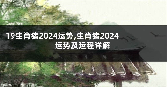 19生肖猪2024运势,生肖猪2024运势及运程详解