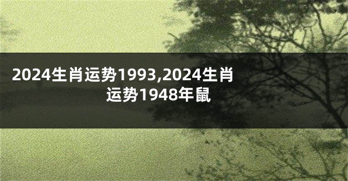 2024生肖运势1993,2024生肖运势1948年鼠